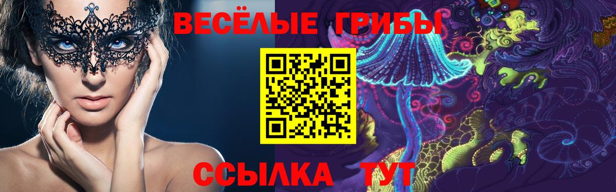 Галлюциногенные грибы мухоморы  Вход с VPN  Озёрск 